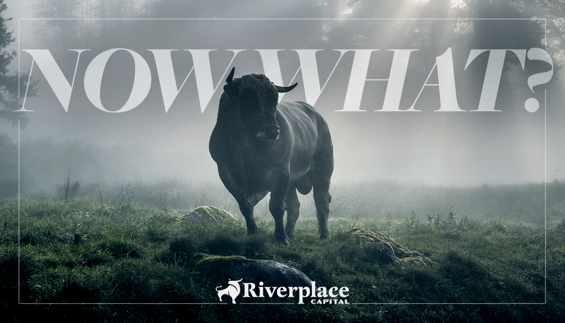 Featured image for “Now What?”
