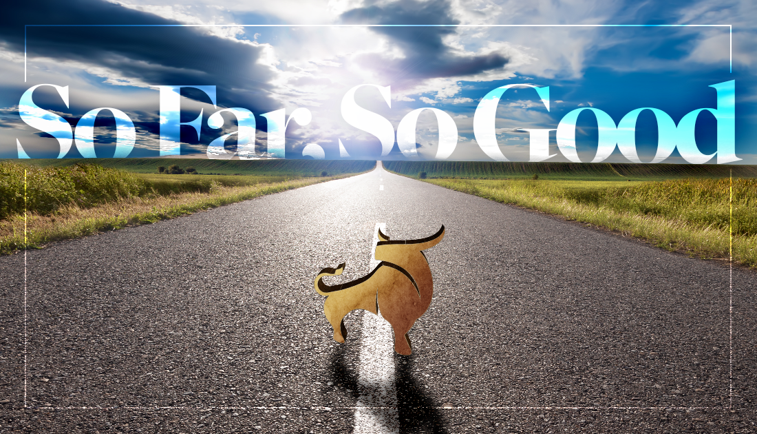 Featured image for “So Far, So Good”